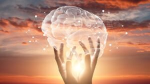 La Science derrière la Spirale : L'Adaptation du Cerveau et du Corps